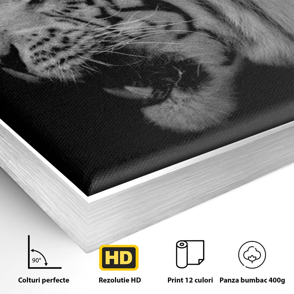 Leinwandbilder Premium, LuxCanva® M1432, Der Schattenjäger, Schwarz und Weiß, Tiger, Feline, Bestie, Tier, Exotisch, Wild, Profil, Streifen, Reißzähne, Büro, Wohnen, Kinderzimmer