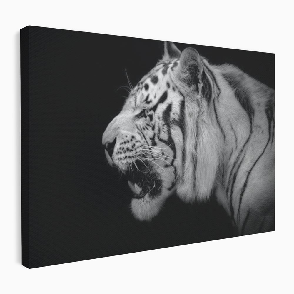 Leinwandbilder Premium, LuxCanva® M1432, Der Schattenjäger, Schwarz und Weiß, Tiger, Feline, Bestie, Tier, Exotisch, Wild, Profil, Streifen, Reißzähne, Büro, Wohnen, Kinderzimmer