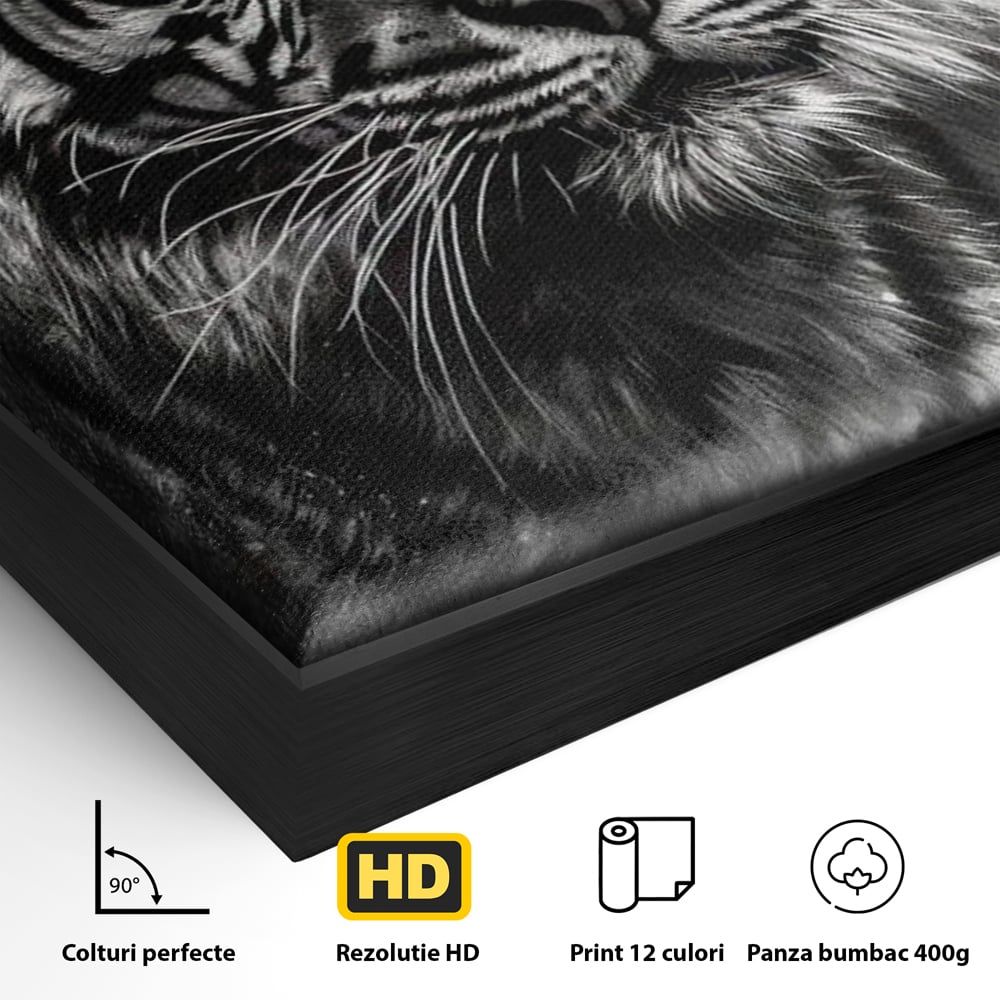 Leinwand Premium Leinwandbilder, LuxCanva® M1433, Schneetier, Monochrom, Gemälde, Portrait, Abstrakt, Tiger, Schwarz-Weiß, Schwarz-Weiß, Feline, Tier, Schatten, Stark, Edel, Büro, Wohnen, Kinderzimmer