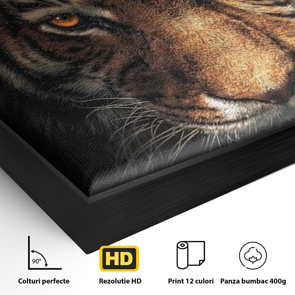 Tablou Canvas Premium, LuxCanva® M1440, Printre Scantei si Umbre, Tigru, Ochi, Privire, Foc, Felina, Fiara, Salbatic, Furios, Forta, Scanteie, Intuneric, Birou, Living, Camera Copil