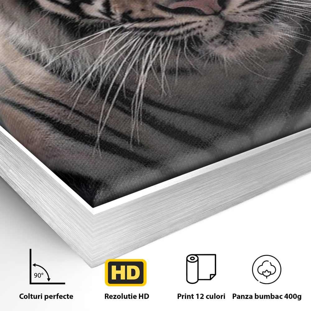 Tablou Canvas Premium, LuxCanva® M1441, Singur sub Stele, Semiluna, Noapte, Stele, Cosmic, Tigru, Felina, Misterios, Dungi, Lumina, Portret, Birou, Living, Camera Copil