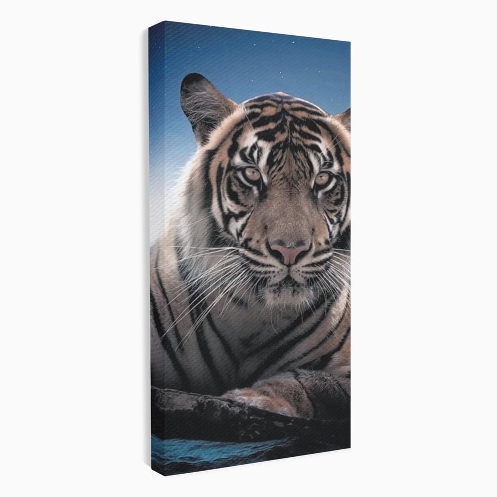 Tablou Canvas Premium, LuxCanva® M1441, Singur sub Stele, Semiluna, Noapte, Stele, Cosmic, Tigru, Felina, Misterios, Dungi, Lumina, Portret, Birou, Living, Camera Copil