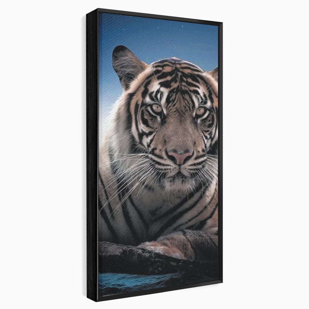 Tablou Canvas Premium, LuxCanva® M1441, Singur sub Stele, Semiluna, Noapte, Stele, Cosmic, Tigru, Felina, Misterios, Dungi, Lumina, Portret, Birou, Living, Camera Copil