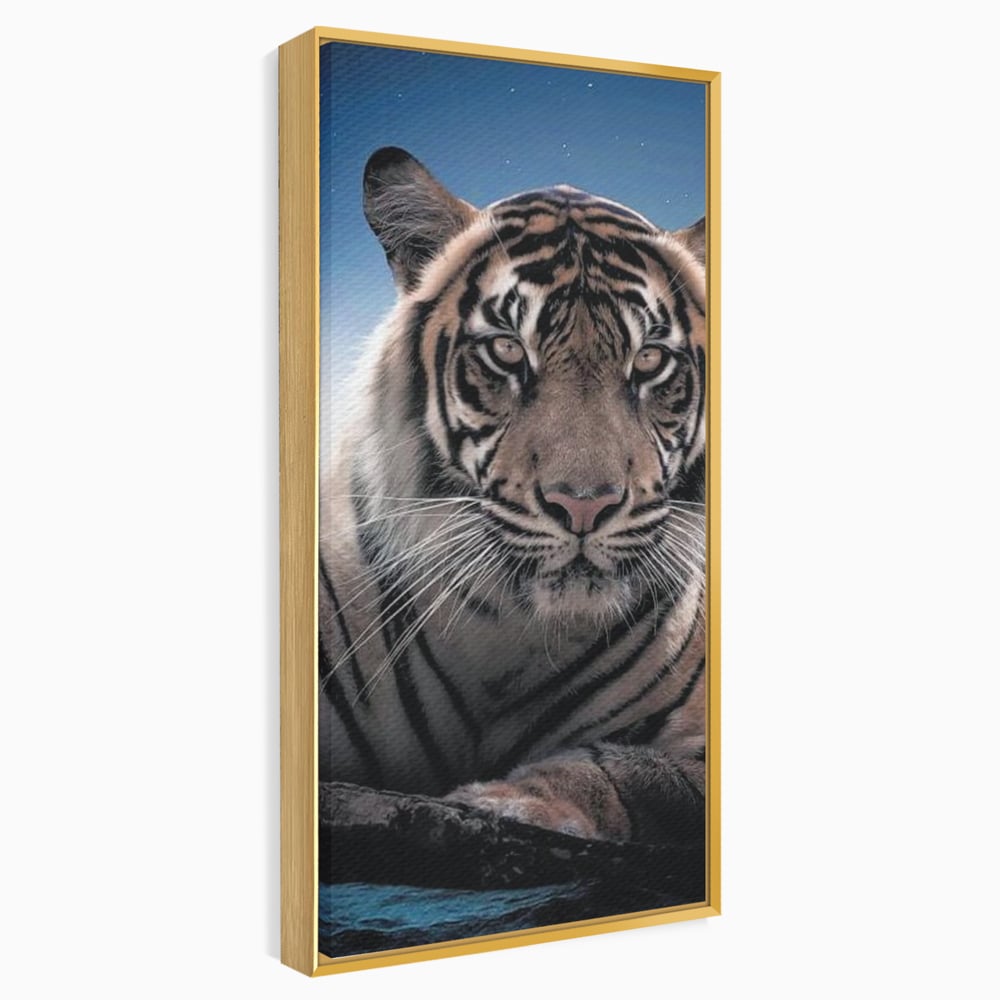 Tablou Canvas Premium, LuxCanva® M1441, Singur sub Stele, Semiluna, Noapte, Stele, Cosmic, Tigru, Felina, Misterios, Dungi, Lumina, Portret, Birou, Living, Camera Copil