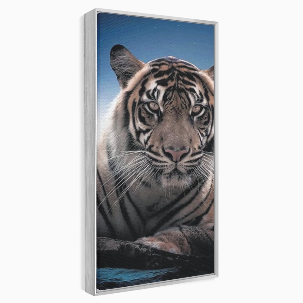 Tablou Canvas Premium, LuxCanva® M1441, Singur sub Stele, Semiluna, Noapte, Stele, Cosmic, Tigru, Felina, Misterios, Dungi, Lumina, Portret, Birou, Living, Camera Copil