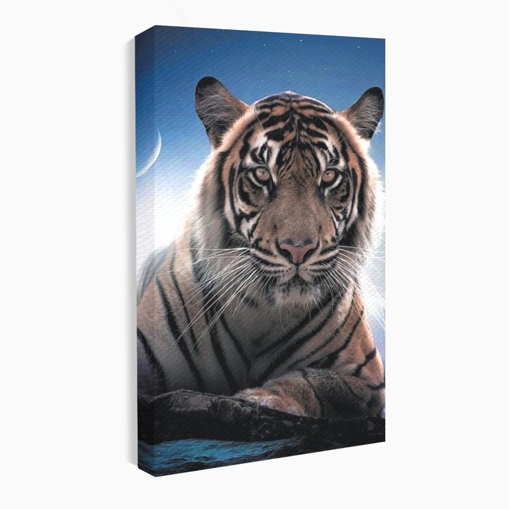 Tablou Canvas Premium, LuxCanva® M1441, Singur sub Stele, Semiluna, Noapte, Stele, Cosmic, Tigru, Felina, Misterios, Dungi, Lumina, Portret, Birou, Living, Camera Copil