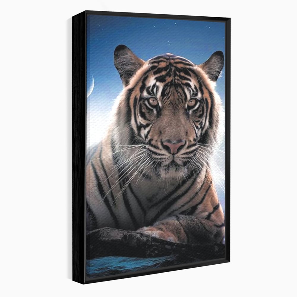 Tablou Canvas Premium, LuxCanva® M1441, Singur sub Stele, Semiluna, Noapte, Stele, Cosmic, Tigru, Felina, Misterios, Dungi, Lumina, Portret, Birou, Living, Camera Copil