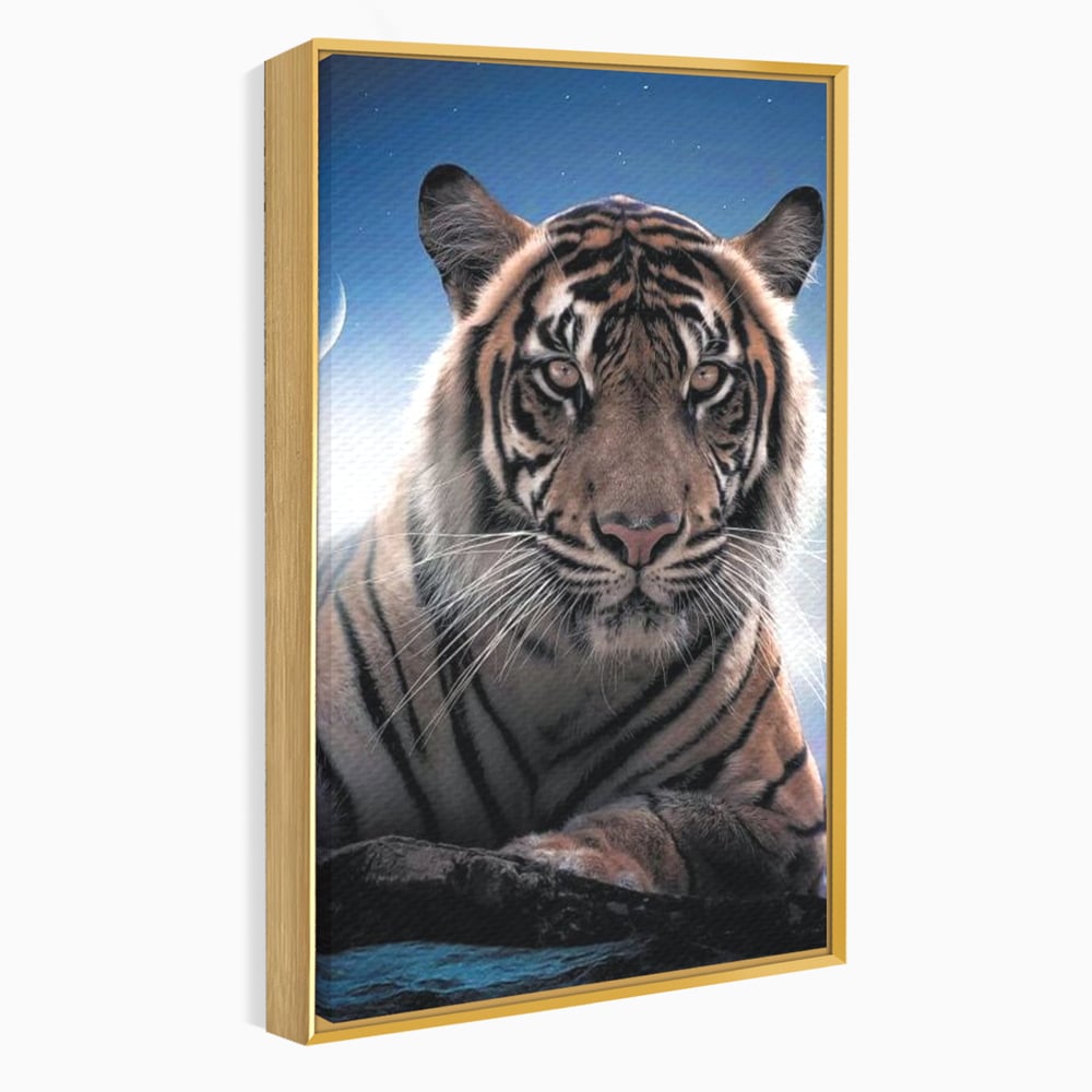 Tablou Canvas Premium, LuxCanva® M1441, Singur sub Stele, Semiluna, Noapte, Stele, Cosmic, Tigru, Felina, Misterios, Dungi, Lumina, Portret, Birou, Living, Camera Copil