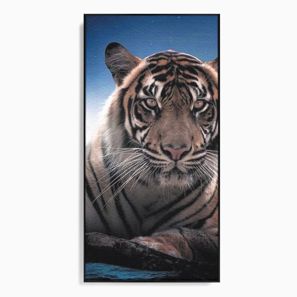 Tablou Canvas Premium, LuxCanva® M1441, Singur sub Stele, Semiluna, Noapte, Stele, Cosmic, Tigru, Felina, Misterios, Dungi, Lumina, Portret, Birou, Living, Camera Copil