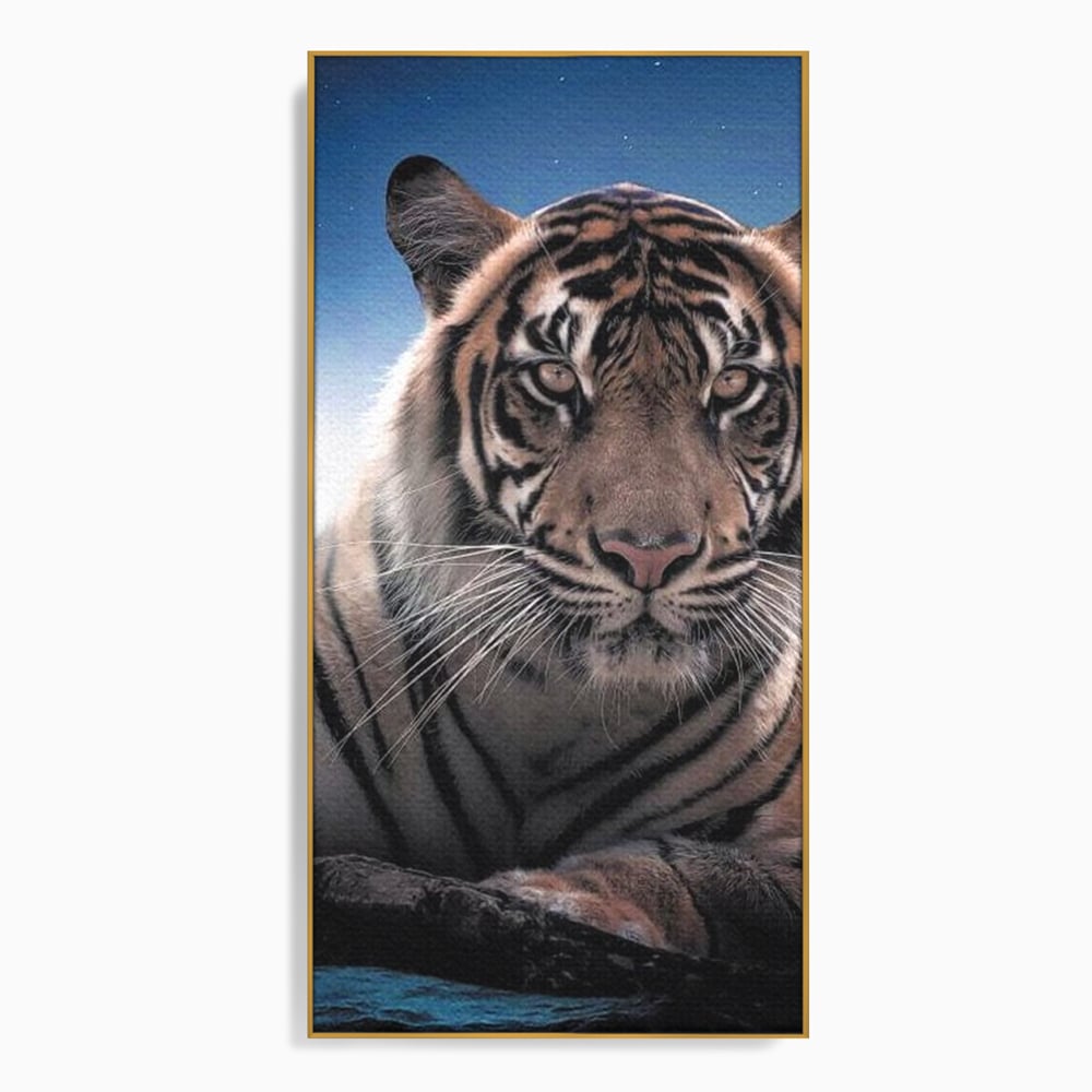 Tablou Canvas Premium, LuxCanva® M1441, Singur sub Stele, Semiluna, Noapte, Stele, Cosmic, Tigru, Felina, Misterios, Dungi, Lumina, Portret, Birou, Living, Camera Copil
