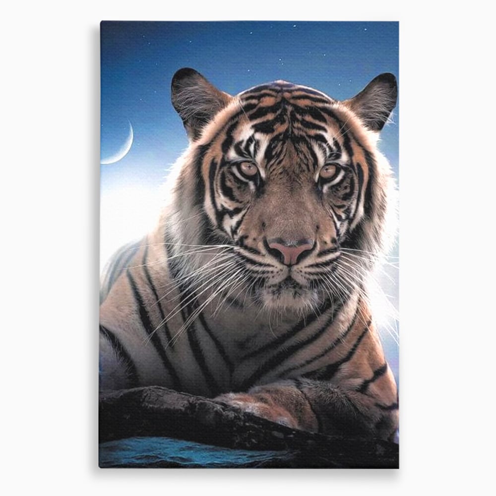 Tablou Canvas Premium, LuxCanva® M1441, Singur sub Stele, Semiluna, Noapte, Stele, Cosmic, Tigru, Felina, Misterios, Dungi, Lumina, Portret, Birou, Living, Camera Copil