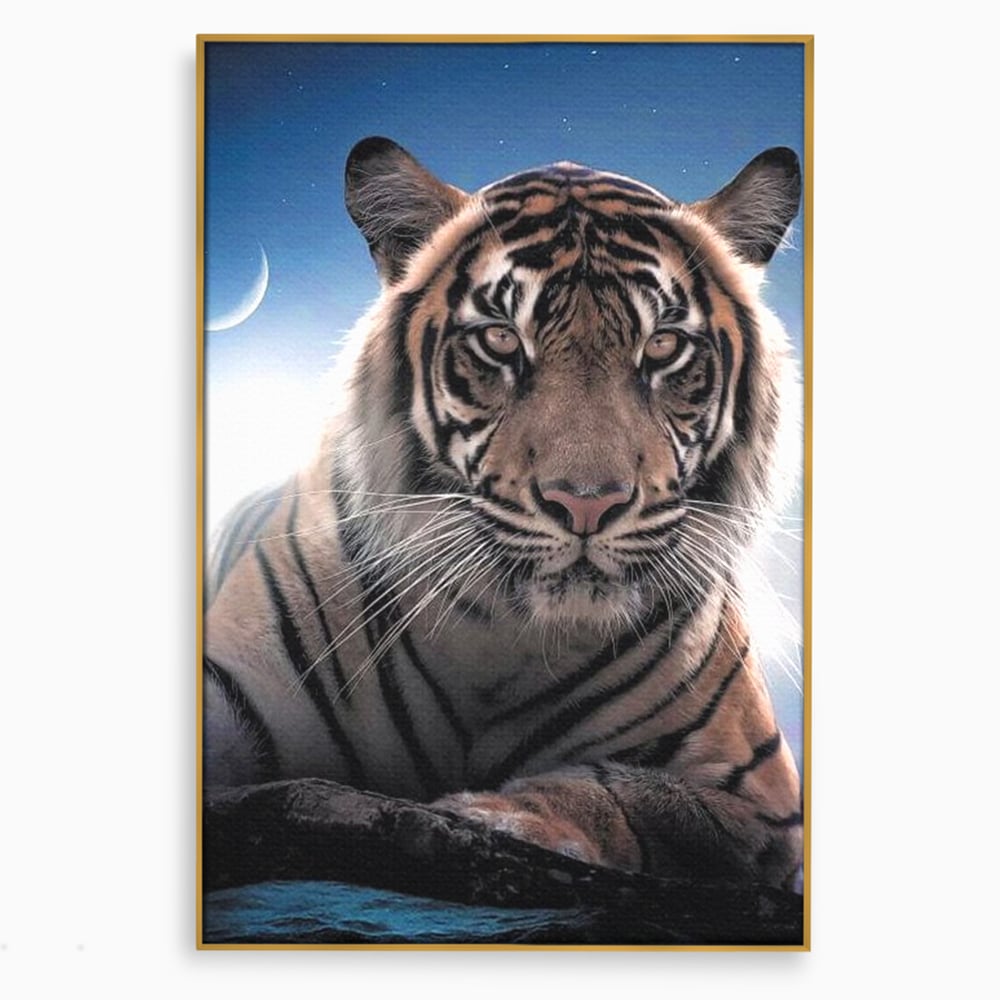 Tablou Canvas Premium, LuxCanva® M1441, Singur sub Stele, Semiluna, Noapte, Stele, Cosmic, Tigru, Felina, Misterios, Dungi, Lumina, Portret, Birou, Living, Camera Copil