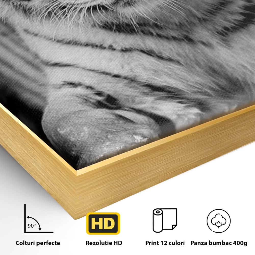Tablou Canvas Premium, LuxCanva® M1442, Suflet Inghetat, Apa, Miscare, Tigru, Alb, Ochi, Safir, Privire, Natura, Jungla, Felina, Eleganta, Sublim, Birou, Living, Camera Copil