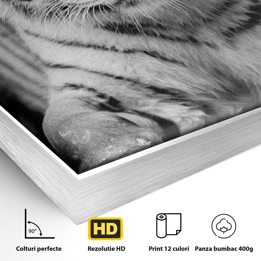 Tablou Canvas Premium, LuxCanva® M1442, Suflet Inghetat, Apa, Miscare, Tigru, Alb, Ochi, Safir, Privire, Natura, Jungla, Felina, Eleganta, Sublim, Birou, Living, Camera Copil