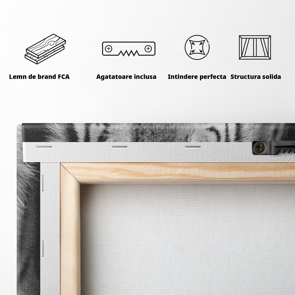 Tablou Canvas Premium, LuxCanva® M1442, Suflet Inghetat, Apa, Miscare, Tigru, Alb, Ochi, Safir, Privire, Natura, Jungla, Felina, Eleganta, Sublim, Birou, Living, Camera Copil