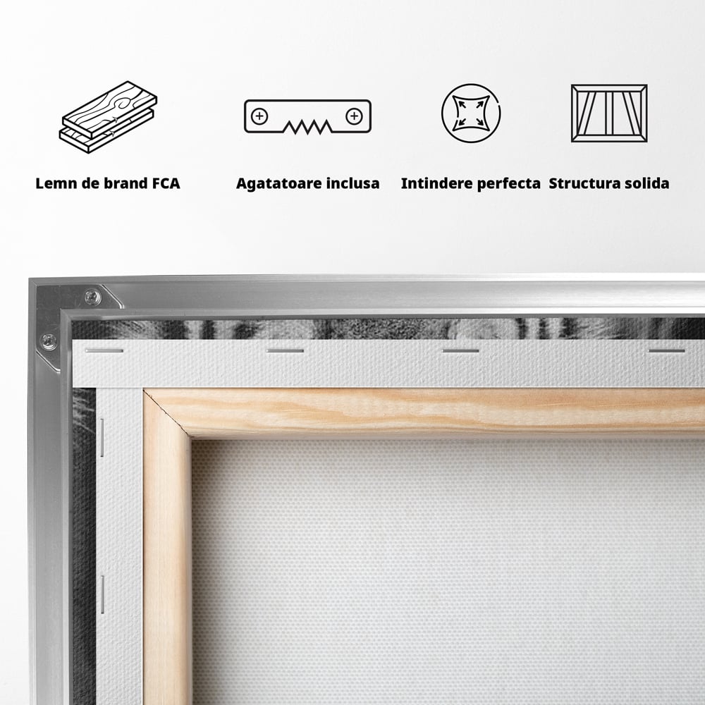 Tablou Canvas Premium, LuxCanva® M1442, Suflet Inghetat, Apa, Miscare, Tigru, Alb, Ochi, Safir, Privire, Natura, Jungla, Felina, Eleganta, Sublim, Birou, Living, Camera Copil
