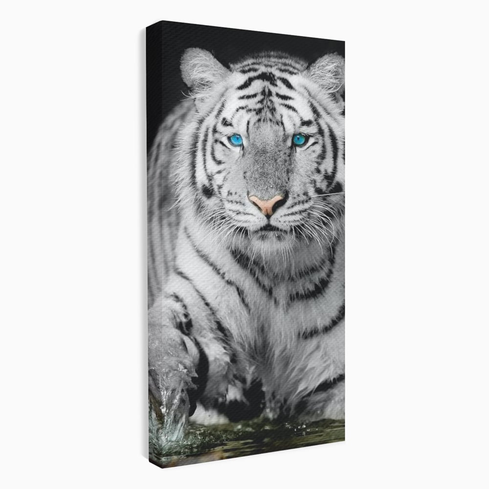Tablou Canvas Premium, LuxCanva® M1442, Suflet Inghetat, Apa, Miscare, Tigru, Alb, Ochi, Safir, Privire, Natura, Jungla, Felina, Eleganta, Sublim, Birou, Living, Camera Copil