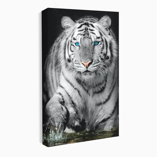 Tablou Canvas Premium, LuxCanva® M1442, Suflet Inghetat, Apa, Miscare, Tigru, Alb, Ochi, Safir, Privire, Natura, Jungla, Felina, Eleganta, Sublim, Birou, Living, Camera Copil