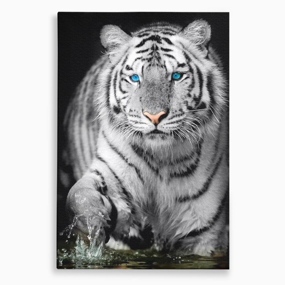 Tablou Canvas Premium, LuxCanva® M1442, Suflet Inghetat, Apa, Miscare, Tigru, Alb, Ochi, Safir, Privire, Natura, Jungla, Felina, Eleganta, Sublim, Birou, Living, Camera Copil