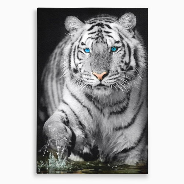 Tablou Canvas Premium, LuxCanva® M1442, Suflet Inghetat, Apa, Miscare, Tigru, Alb, Ochi, Safir, Privire, Natura, Jungla, Felina, Eleganta, Sublim, Birou, Living, Camera Copil