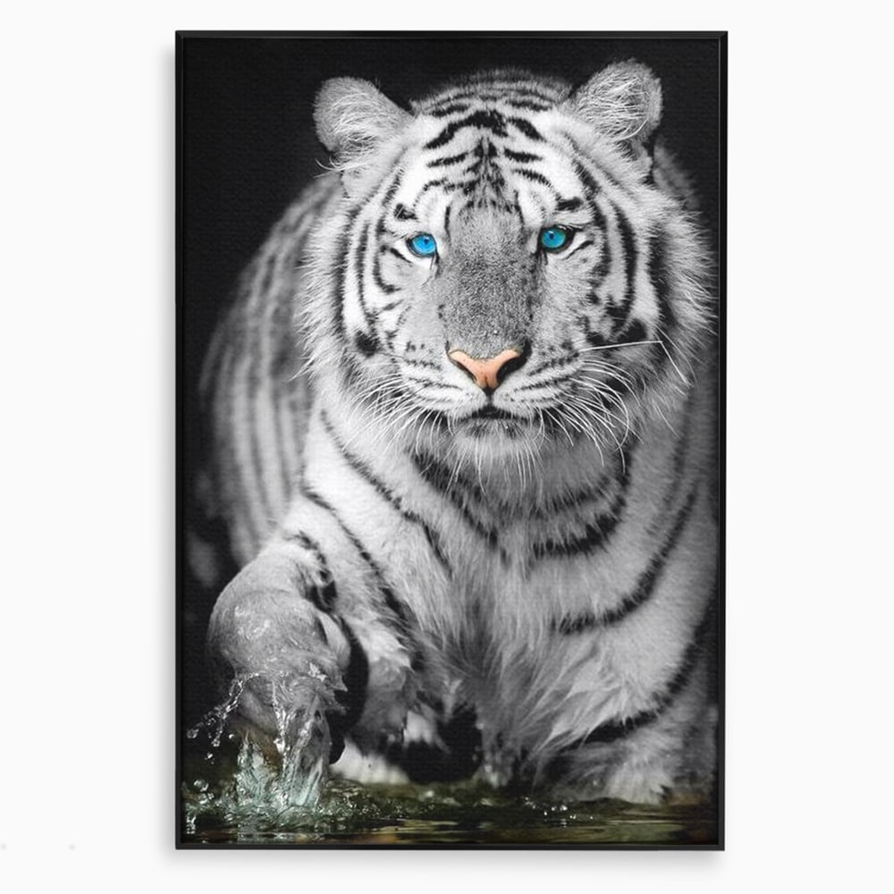 Tablou Canvas Premium, LuxCanva® M1442, Suflet Inghetat, Apa, Miscare, Tigru, Alb, Ochi, Safir, Privire, Natura, Jungla, Felina, Eleganta, Sublim, Birou, Living, Camera Copil