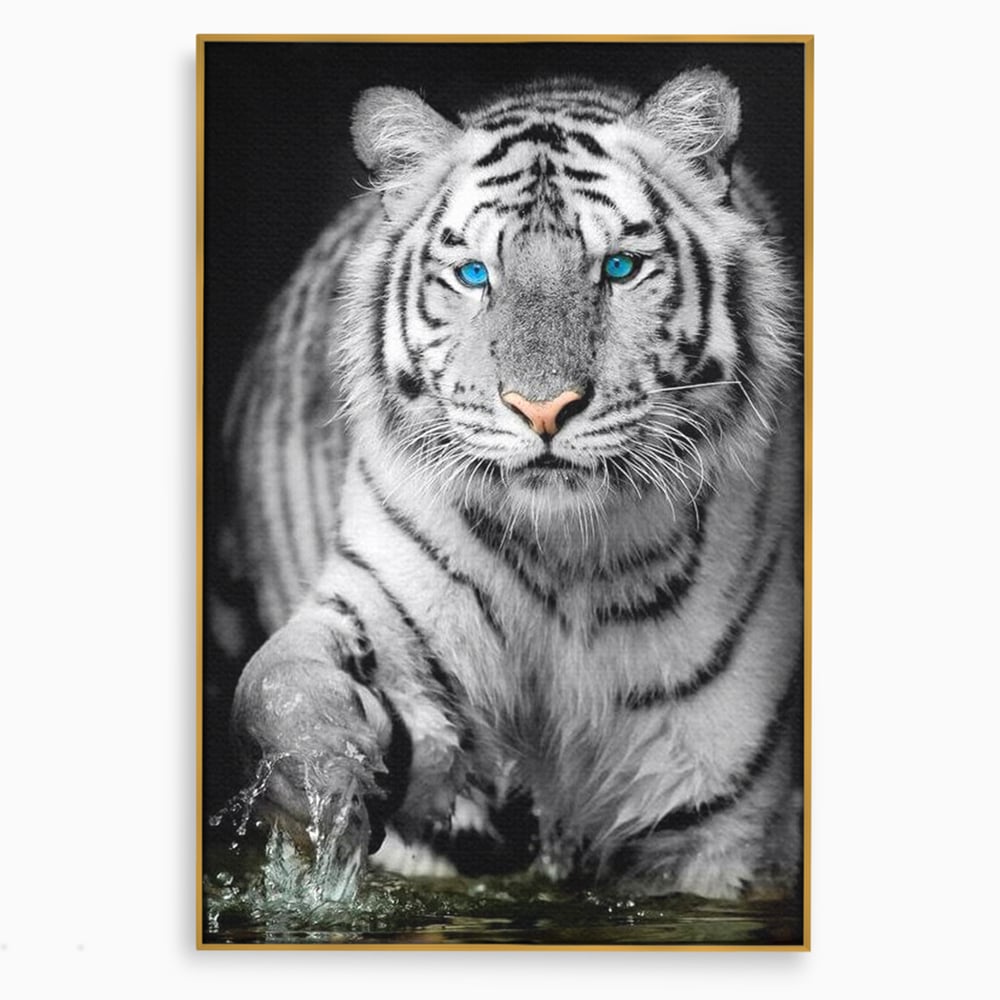 Tablou Canvas Premium, LuxCanva® M1442, Suflet Inghetat, Apa, Miscare, Tigru, Alb, Ochi, Safir, Privire, Natura, Jungla, Felina, Eleganta, Sublim, Birou, Living, Camera Copil