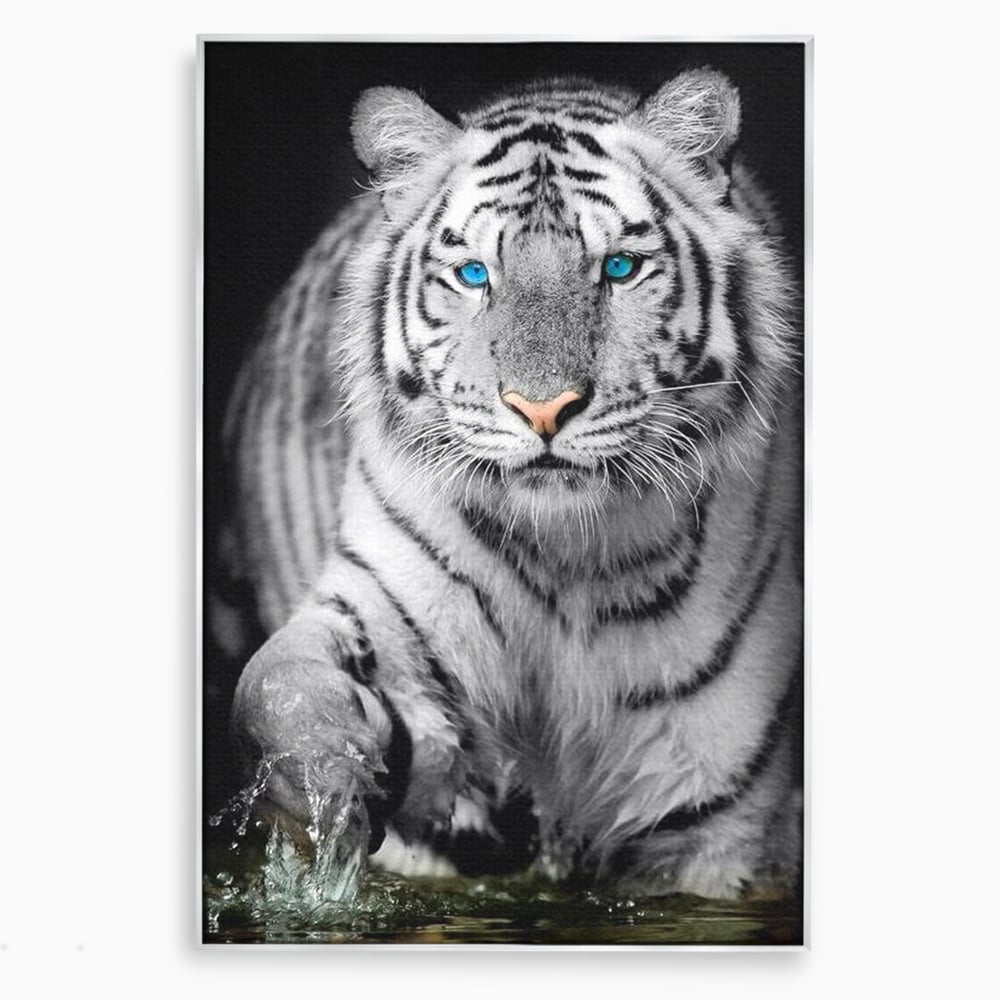 Tablou Canvas Premium, LuxCanva® M1442, Suflet Inghetat, Apa, Miscare, Tigru, Alb, Ochi, Safir, Privire, Natura, Jungla, Felina, Eleganta, Sublim, Birou, Living, Camera Copil