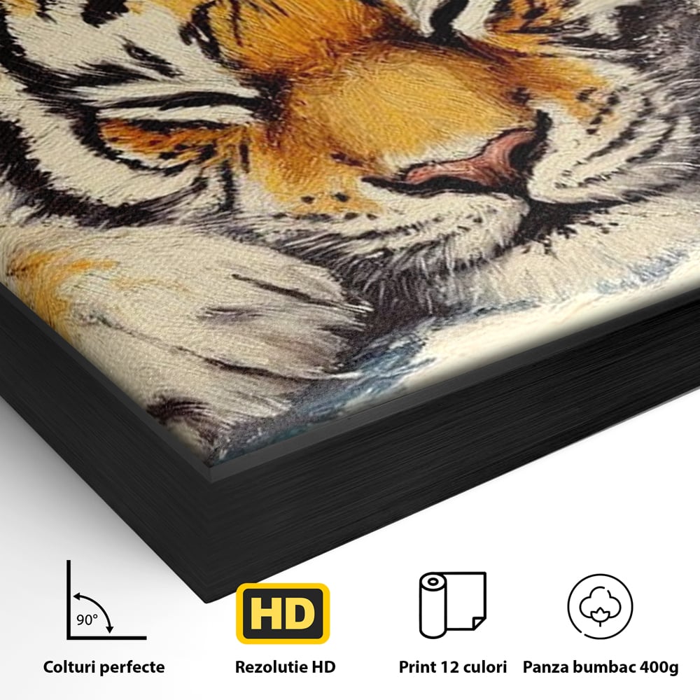 Tablou Canvas Premium, LuxCanva® M1443, Vise sub Stele, Tigru, Felina, Gheare, Somn, Relaxare, Pictura, Vis, Noapte, Blanos, Linistit, Birou, Living, Camera Copil