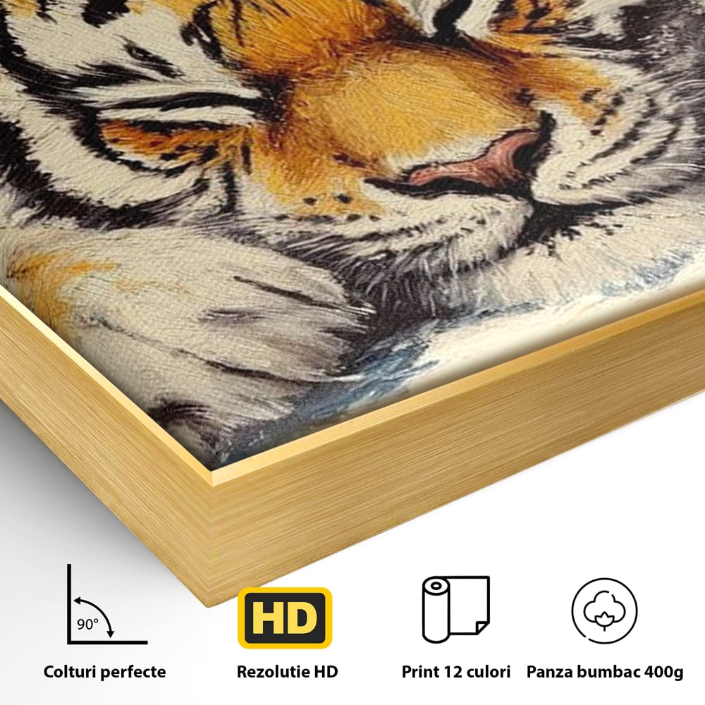 Tablou Canvas Premium, LuxCanva® M1443, Vise sub Stele, Tigru, Felina, Gheare, Somn, Relaxare, Pictura, Vis, Noapte, Blanos, Linistit, Birou, Living, Camera Copil