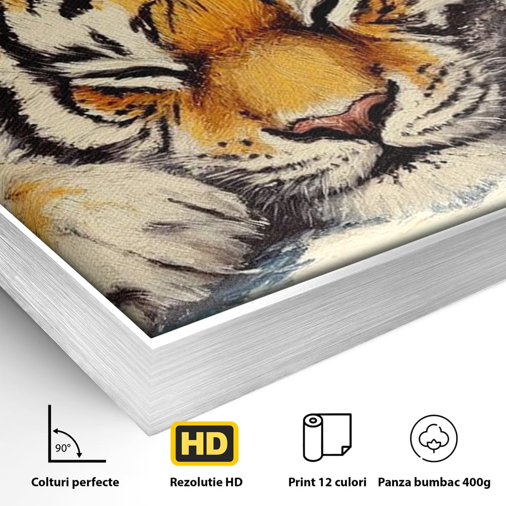 Tablou Canvas Premium, LuxCanva® M1443, Vise sub Stele, Tigru, Felina, Gheare, Somn, Relaxare, Pictura, Vis, Noapte, Blanos, Linistit, Birou, Living, Camera Copil