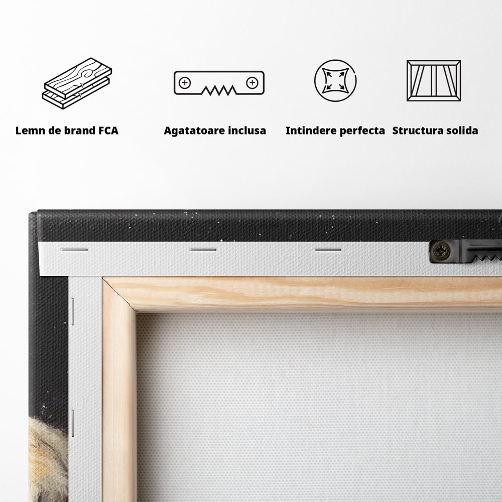 Tablou Canvas Premium, LuxCanva® M1443, Vise sub Stele, Tigru, Felina, Gheare, Somn, Relaxare, Pictura, Vis, Noapte, Blanos, Linistit, Birou, Living, Camera Copil