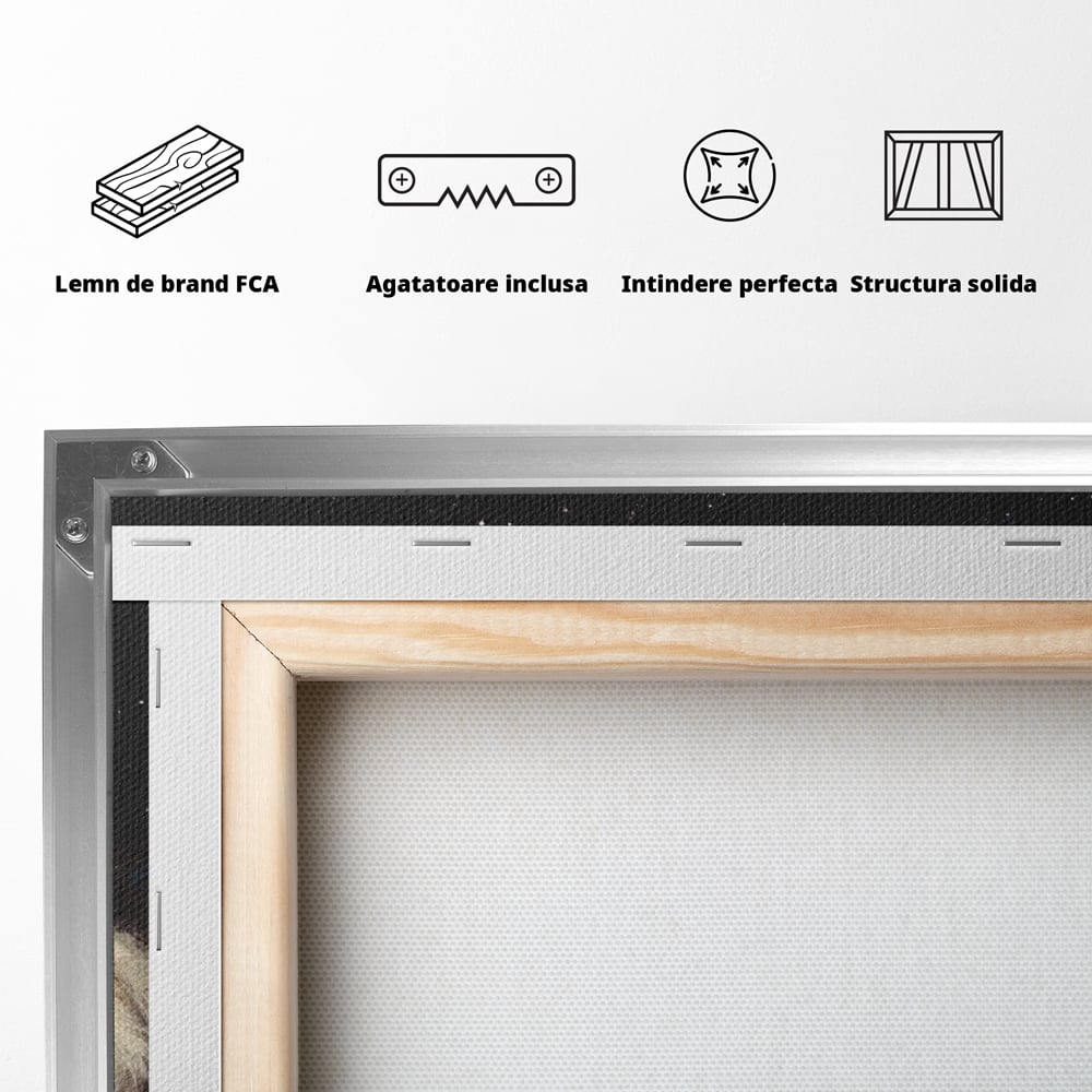 Tablou Canvas Premium, LuxCanva® M1443, Vise sub Stele, Tigru, Felina, Gheare, Somn, Relaxare, Pictura, Vis, Noapte, Blanos, Linistit, Birou, Living, Camera Copil