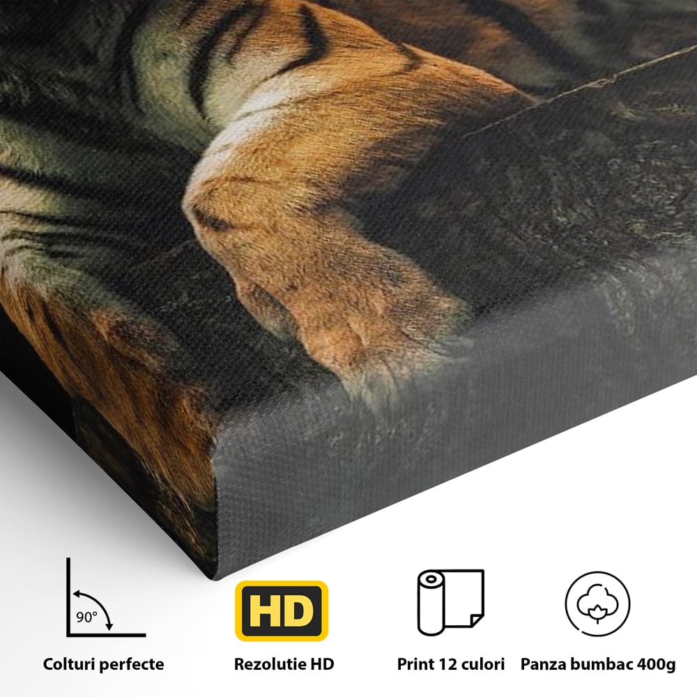 Tablou Canvas Premium, LuxCanva® M1444, Prietenie sub Clar de Luna, Veverita, Rozatoare, Tigru, Felina, Luna Plina, Stele, Nocturn, Bustean, Maretie, Birou, Living, Camera Copil