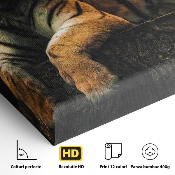 Tablou Canvas Premium, LuxCanva® M1444, Prietenie sub Clar de Luna, Veverita, Rozatoare, Tigru, Felina, Luna Plina, Stele, Nocturn, Bustean, Maretie, Birou, Living, Camera Copil
