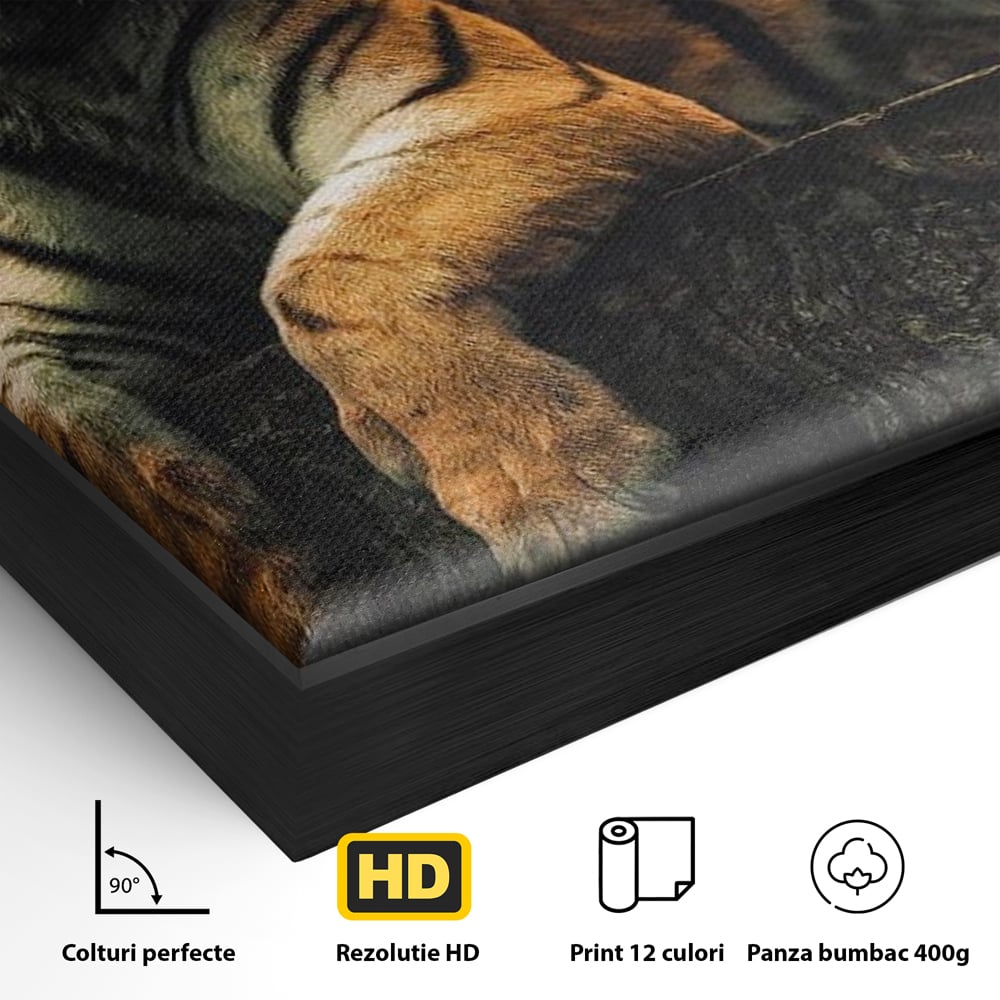 Tablou Canvas Premium, LuxCanva® M1444, Prietenie sub Clar de Luna, Veverita, Rozatoare, Tigru, Felina, Luna Plina, Stele, Nocturn, Bustean, Maretie, Birou, Living, Camera Copil