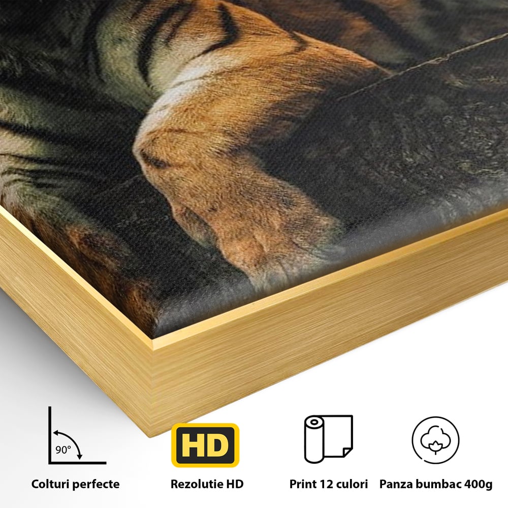 Tablou Canvas Premium, LuxCanva® M1444, Prietenie sub Clar de Luna, Veverita, Rozatoare, Tigru, Felina, Luna Plina, Stele, Nocturn, Bustean, Maretie, Birou, Living, Camera Copil