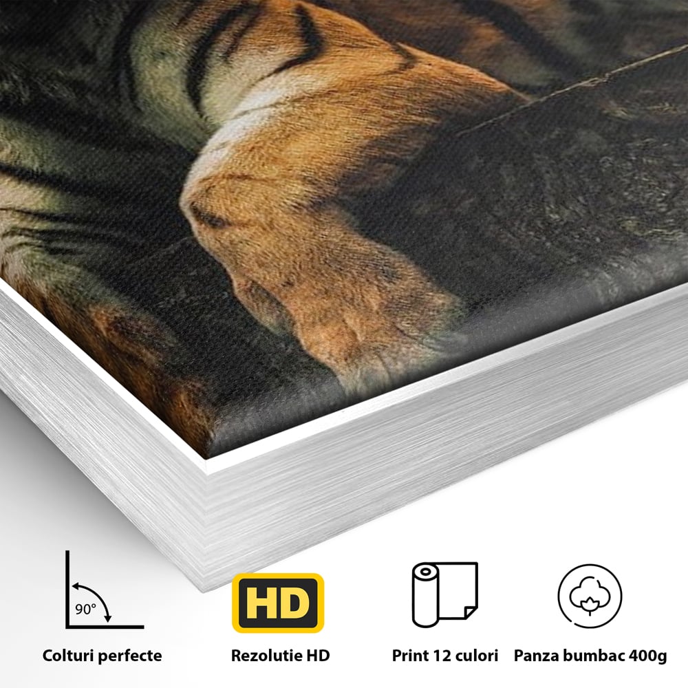 Tablou Canvas Premium, LuxCanva® M1444, Prietenie sub Clar de Luna, Veverita, Rozatoare, Tigru, Felina, Luna Plina, Stele, Nocturn, Bustean, Maretie, Birou, Living, Camera Copil