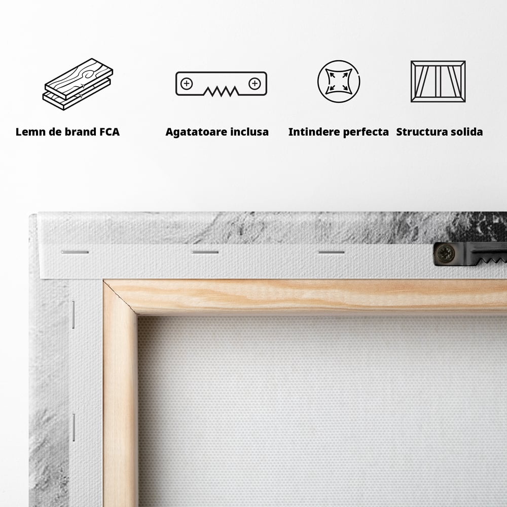Tablou Canvas Premium, LuxCanva® M1445, Strigoiul Alb, Tigru, Felina, Raget, Fantoma, Alb si Negru, Fioros, Spirit, Pictura, Furie, Birou, Living, Camera Copil