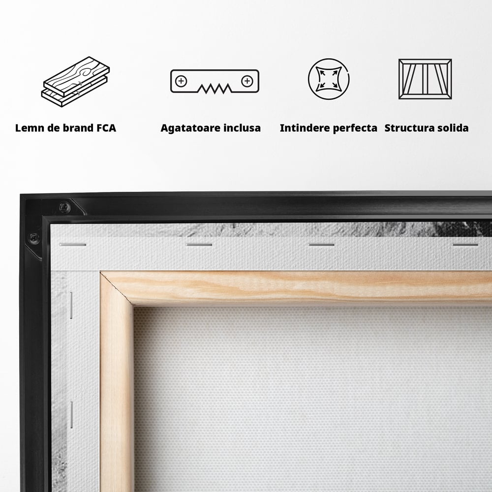 Tablou Canvas Premium, LuxCanva® M1445, Strigoiul Alb, Tigru, Felina, Raget, Fantoma, Alb si Negru, Fioros, Spirit, Pictura, Furie, Birou, Living, Camera Copil