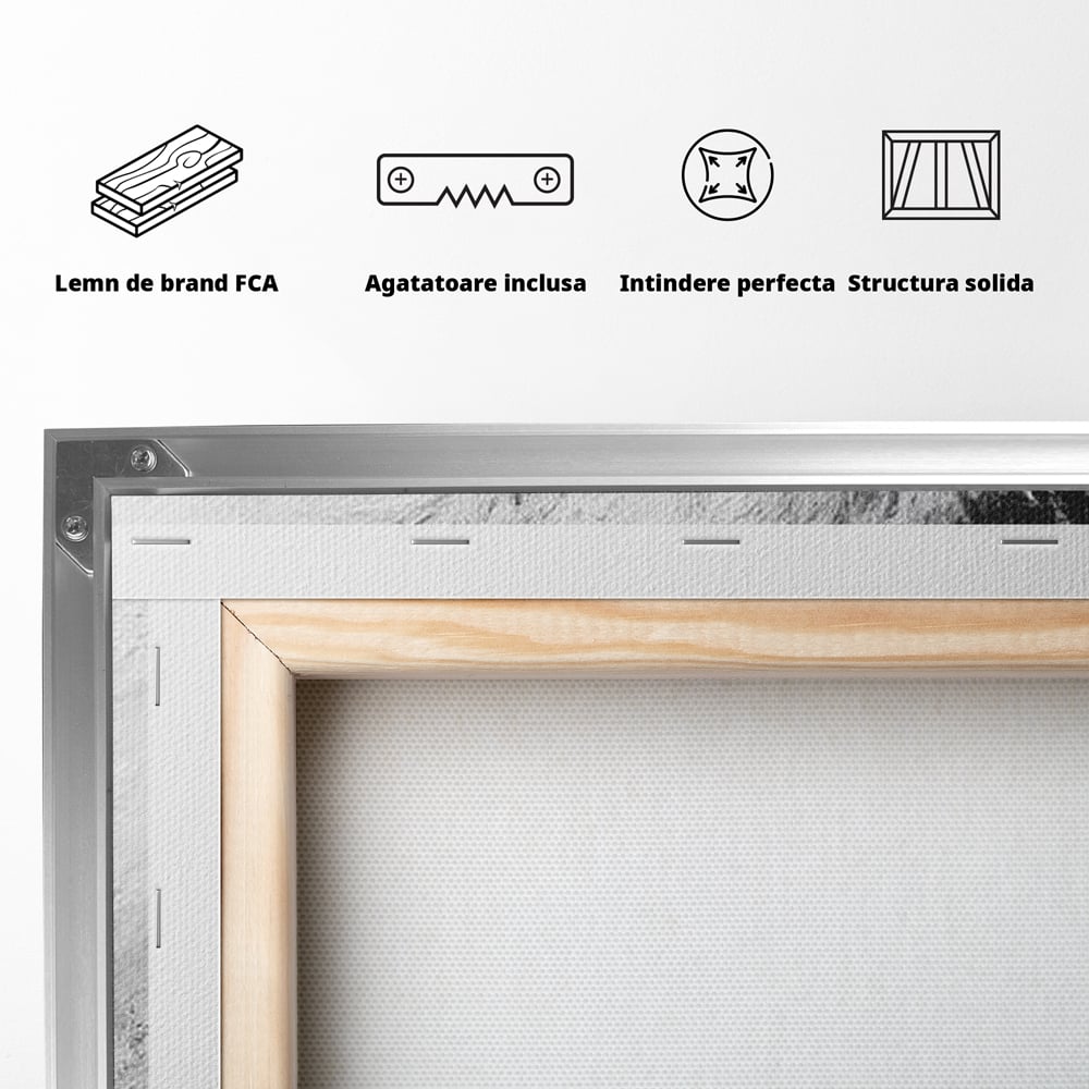Tablou Canvas Premium, LuxCanva® M1445, Strigoiul Alb, Tigru, Felina, Raget, Fantoma, Alb si Negru, Fioros, Spirit, Pictura, Furie, Birou, Living, Camera Copil