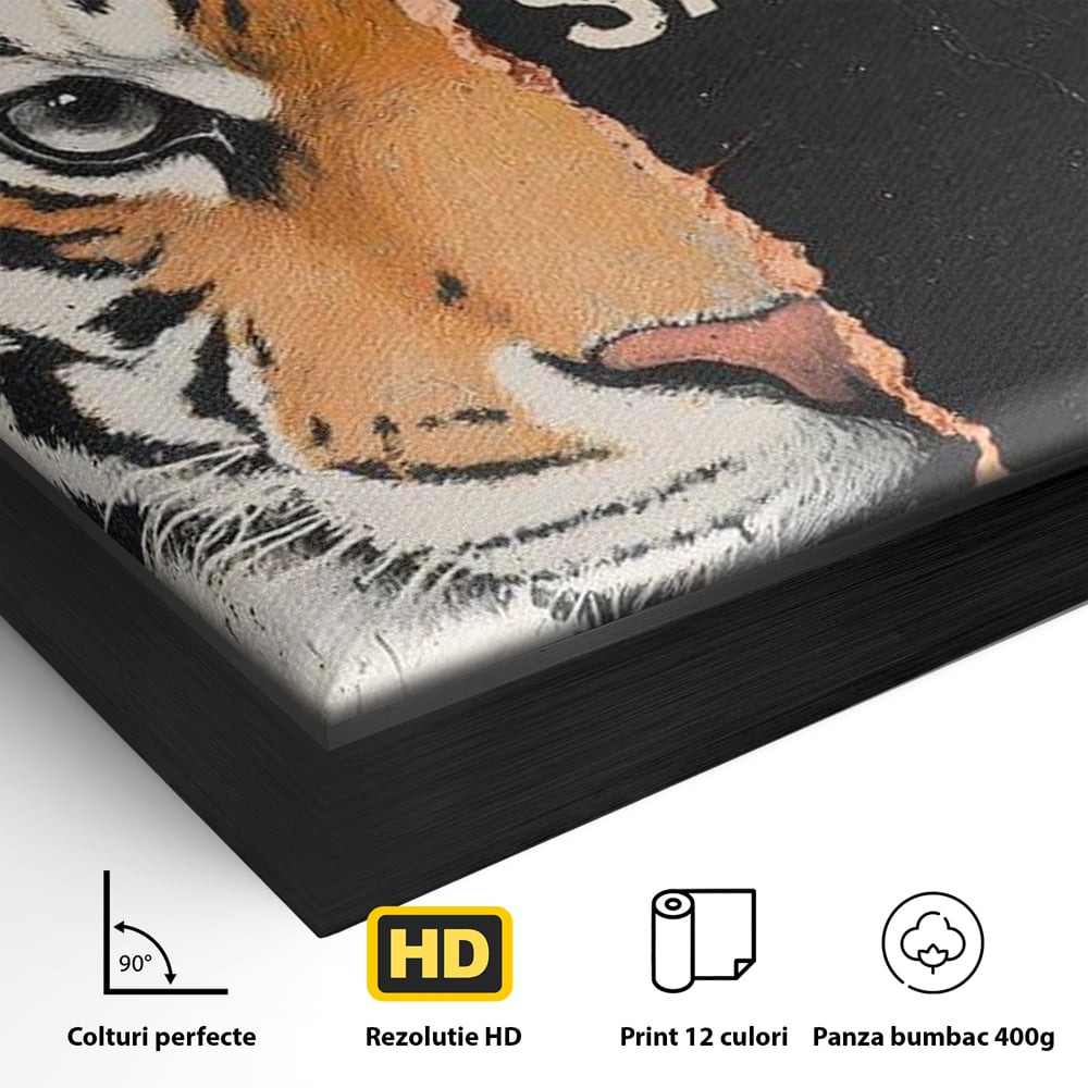 Leinwandbilder Premium, LuxCanva® M1449, Wild und frei, Tiger, Katze, Gesicht, Dualität, Botschaft, Blick, Mut, Beherrschung, unbesiegbar, modern, Büro, Wohnen, Kinderzimmer