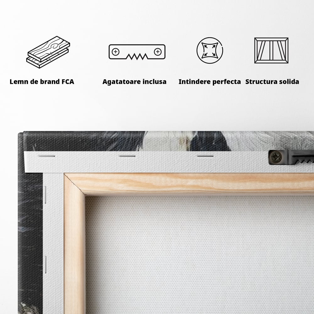 Leinwandbilder Premium, LuxCanva® M1457, Seelen im Spiegel, Dualität, Schwarz und Weiß, Duell, Malerei, Geist, Gleichgewicht, Geist, Wölfe, Blick, Wild, Büro, Wohnzimmer, Kinderzimmer