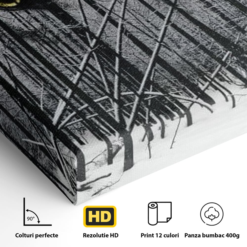 Leinwand Wandkunst Leinwand Wandkunst Premium, LuxCanva® M1458, Waldschatten Wächter, Augen, Blick, Wächter, beobachten, beobachten, Wolf, Wald, Schnee, Winter, Bäume, Wildnis, Natur, Büro, Wohnen, Kinderzimmer