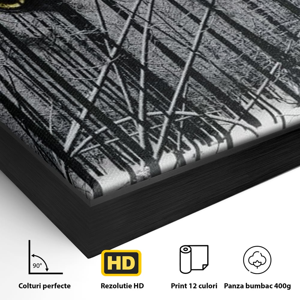 Leinwand Wandkunst Leinwand Wandkunst Premium, LuxCanva® M1458, Waldschatten Wächter, Augen, Blick, Wächter, beobachten, beobachten, Wolf, Wald, Schnee, Winter, Bäume, Wildnis, Natur, Büro, Wohnen, Kinderzimmer