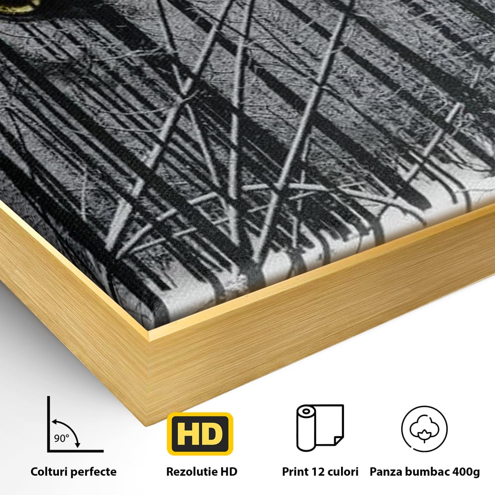 Leinwand Wandkunst Leinwand Wandkunst Premium, LuxCanva® M1458, Waldschatten Wächter, Augen, Blick, Wächter, beobachten, beobachten, Wolf, Wald, Schnee, Winter, Bäume, Wildnis, Natur, Büro, Wohnen, Kinderzimmer