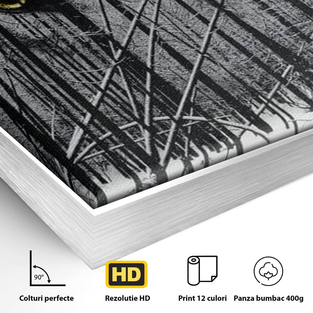 Leinwand Wandkunst Leinwand Wandkunst Premium, LuxCanva® M1458, Waldschatten Wächter, Augen, Blick, Wächter, beobachten, beobachten, Wolf, Wald, Schnee, Winter, Bäume, Wildnis, Natur, Büro, Wohnen, Kinderzimmer