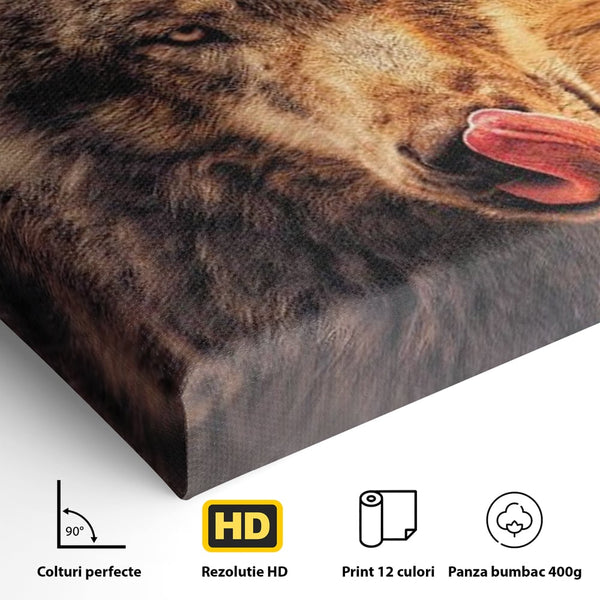 Leinwand Wandkunst Canvas Premium, LuxCanva® M1459, Überlebensinstinkt, Wolf, Wild, Tier, Flämisch, Jagd, Beute, Sehnsucht, Sonnenuntergang, Natur, Porträt, Büro, Wohnen, Kinderzimmer