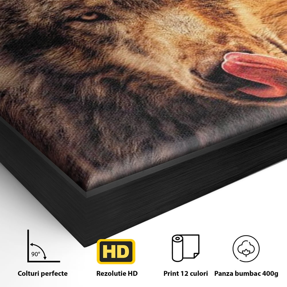 Leinwand Wandkunst Canvas Premium, LuxCanva® M1459, Überlebensinstinkt, Wolf, Wild, Tier, Flämisch, Jagd, Beute, Sehnsucht, Sonnenuntergang, Natur, Porträt, Büro, Wohnen, Kinderzimmer