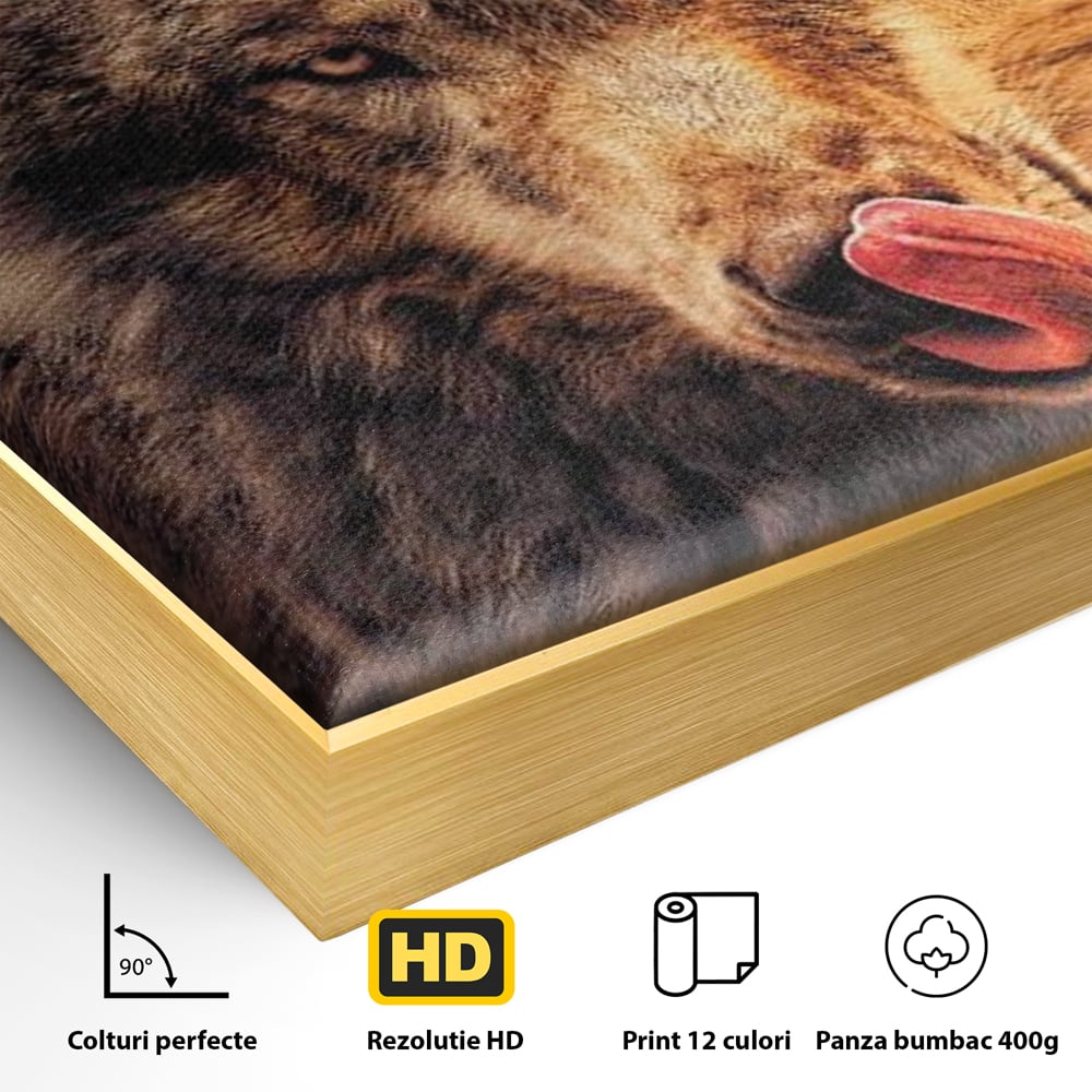 Leinwand Wandkunst Canvas Premium, LuxCanva® M1459, Überlebensinstinkt, Wolf, Wild, Tier, Flämisch, Jagd, Beute, Sehnsucht, Sonnenuntergang, Natur, Porträt, Büro, Wohnen, Kinderzimmer