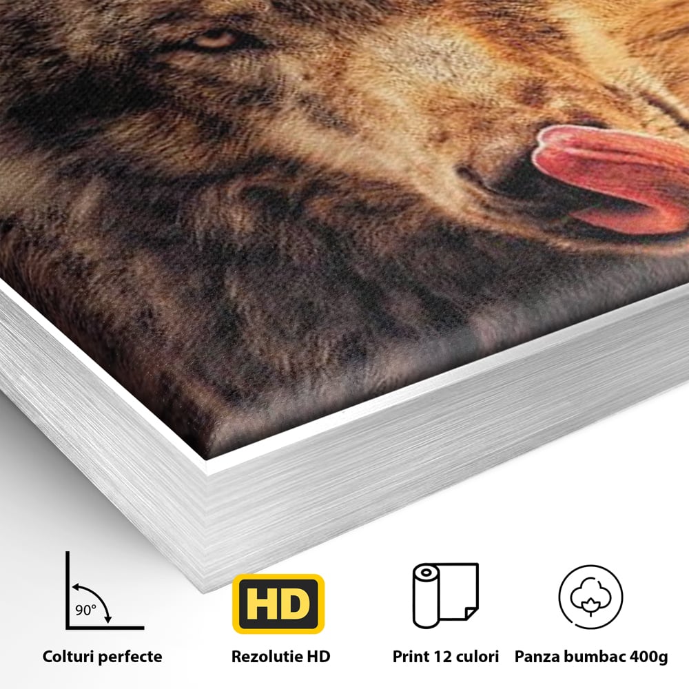 Leinwand Wandkunst Canvas Premium, LuxCanva® M1459, Überlebensinstinkt, Wolf, Wild, Tier, Flämisch, Jagd, Beute, Sehnsucht, Sonnenuntergang, Natur, Porträt, Büro, Wohnen, Kinderzimmer